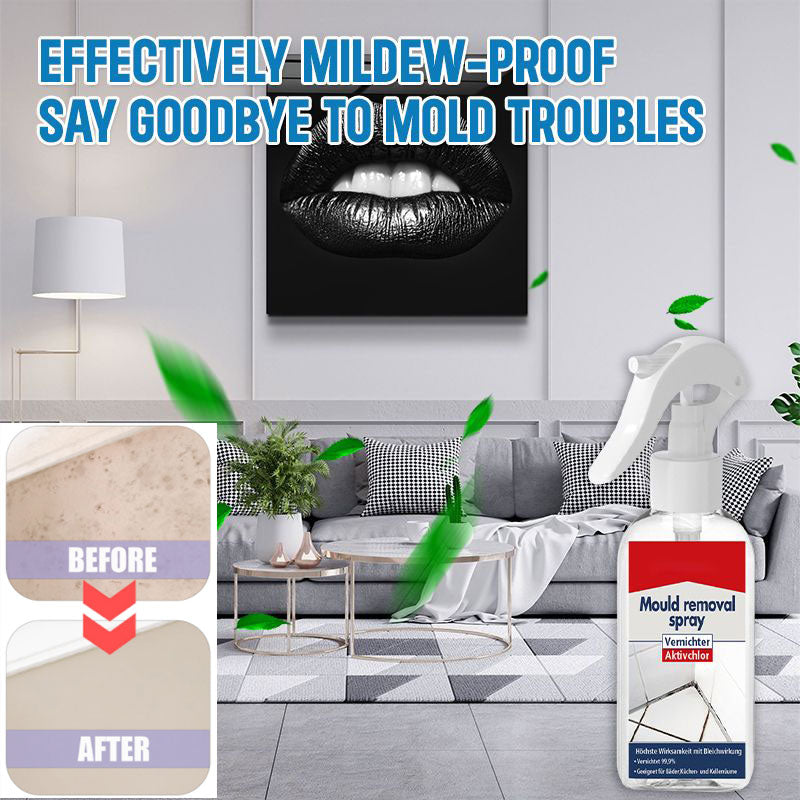 All-purpose Mildew Removal Spray（Buy 2 Get 1 Free）