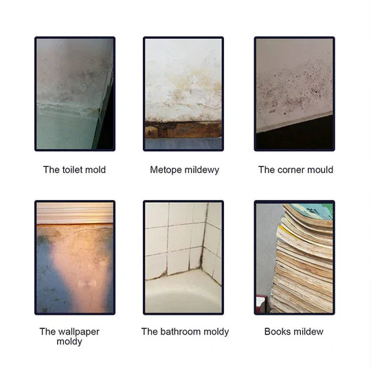 Home Edition - Non-irritating Anti-mould Cleaning Foam Spray